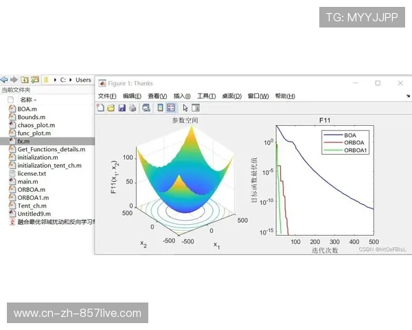 赛中动态分流策略通过算法优化 极大地缓解了终点区域的医疗压力 赛中动态分流策略通过算法优化 极大地缓解了终点区域的医疗压力